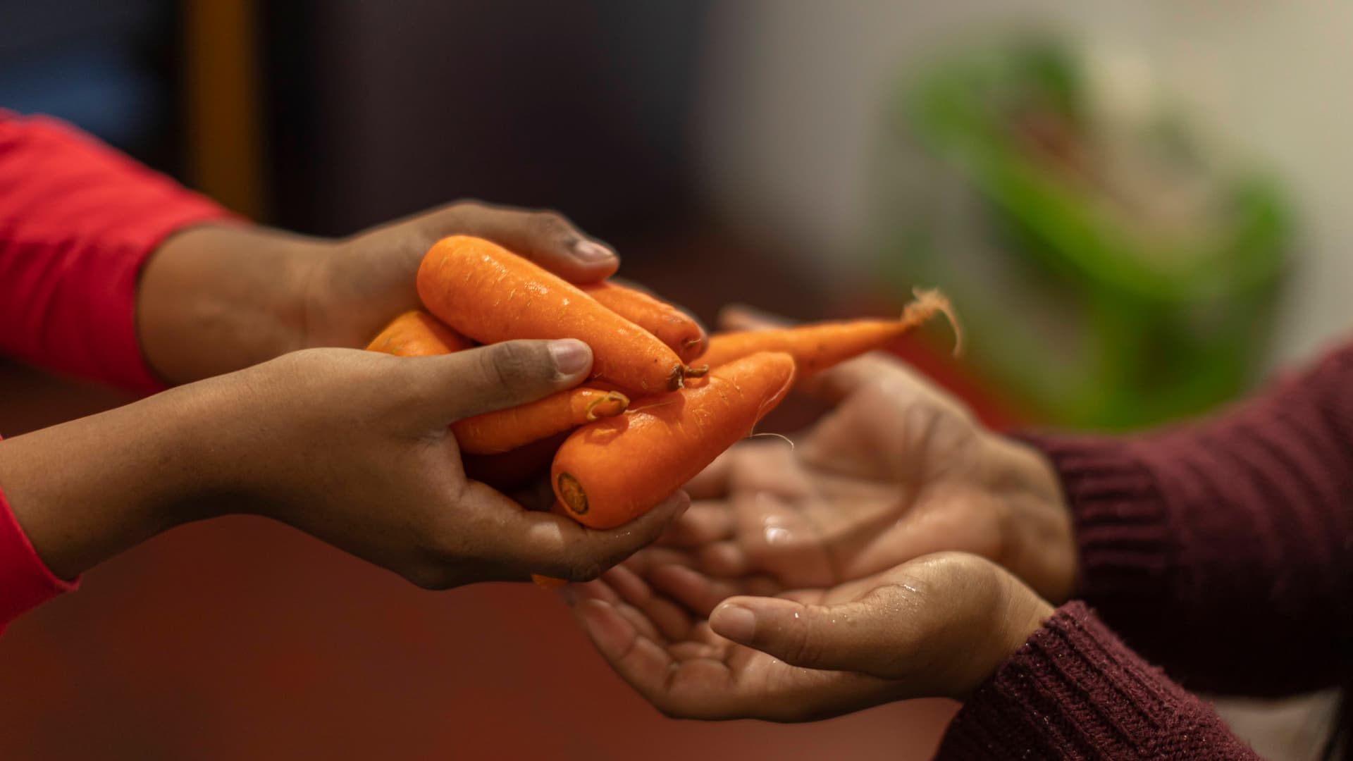 CarrotsImage